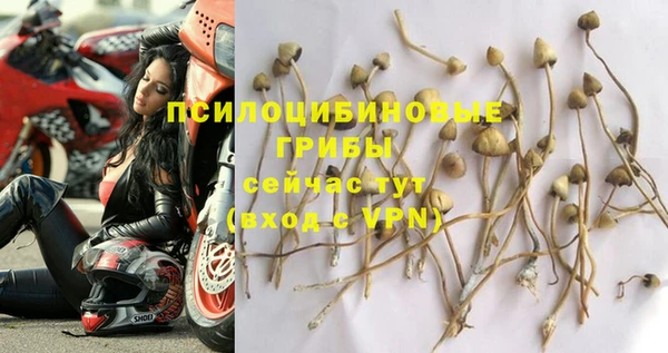 MESCALINE Армянск