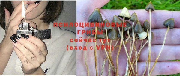 mdpv Аркадак