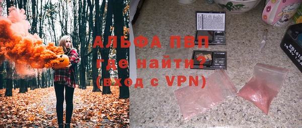 стаф Алексин