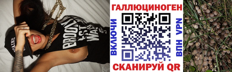 kraken онион  Малоархангельск  Галлюциногенные грибы GOLDEN TEACHER 